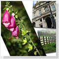 Canvas printing prices