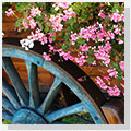 Canvas printing prices